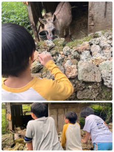 初めてのロバに大興奮！心も体もポカポカお出かけ🐴♨️